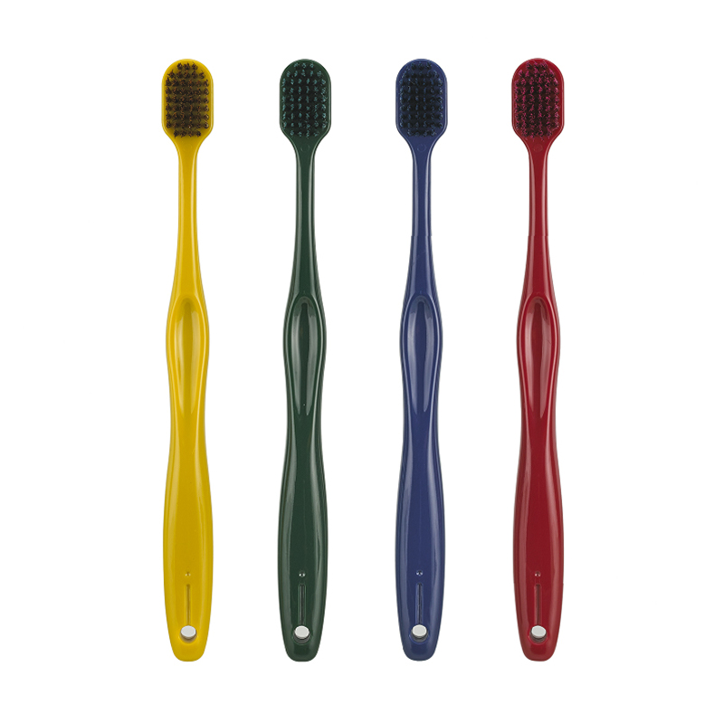Alban-CDXXX adulta mundus dentium lata caput toothbrush